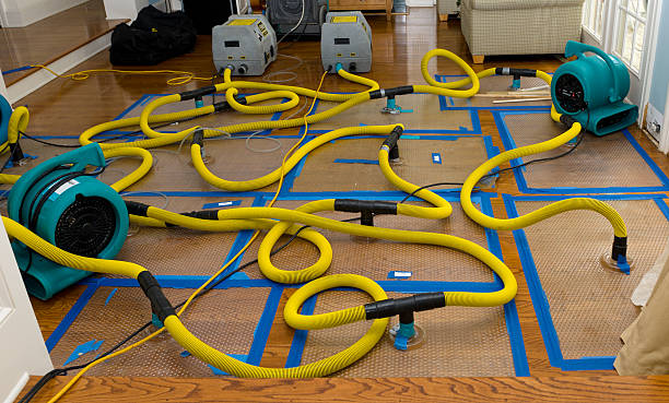 Professional Structural Drying And Dehumidification technician working in Chimacum, WA
